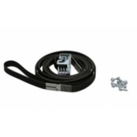 Belt and Tensioner Assembly 60-inch